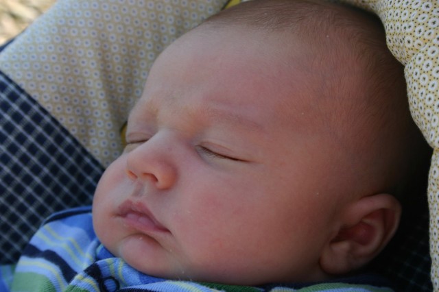 Click for original image 186k 1229x819